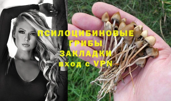 мяу мяу мука Алзамай
