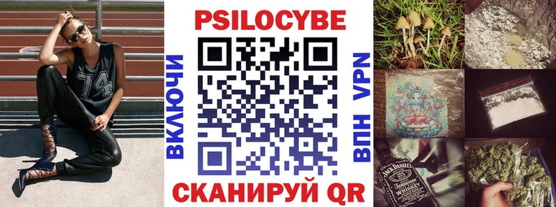 Псилоцибиновые грибы MAGIC MUSHROOMS  наркота  Таруса 